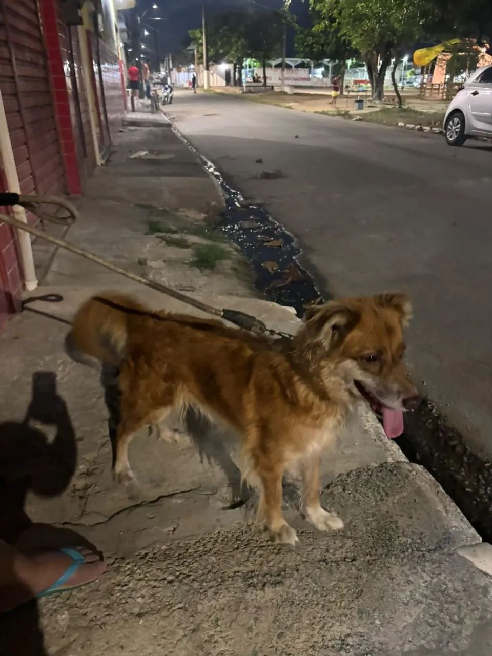 Doação  - Foto 2