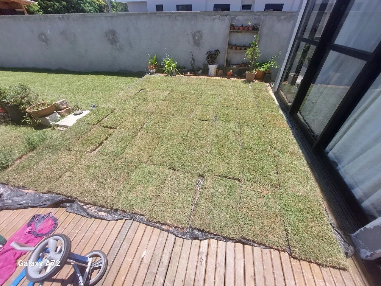 Urgente!Vendo 26 m2 de grama esmeralda no Campeche de ótima qualidade! Sem entrega!! - Foto 4