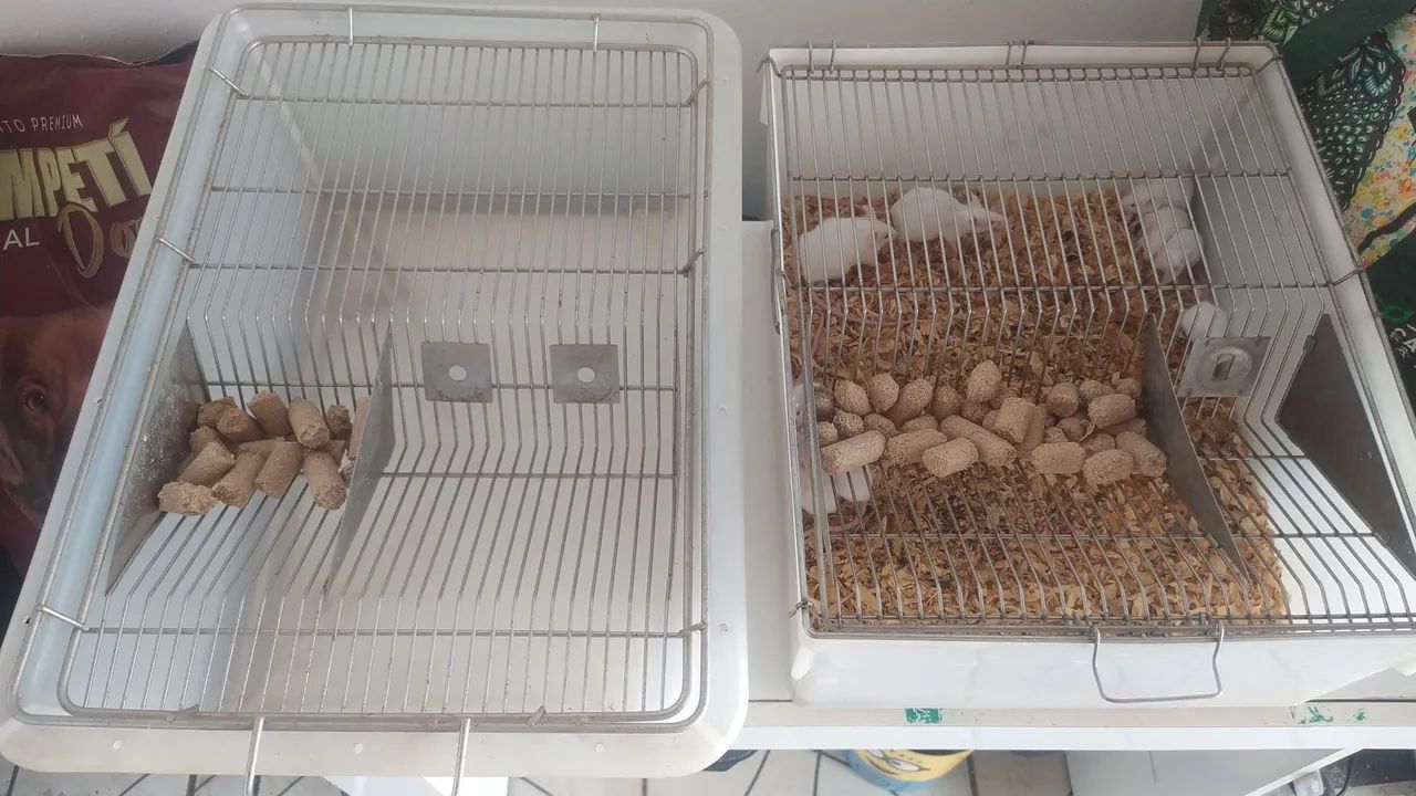 Caixas de Biotério DIVERSAS:65581389300225122