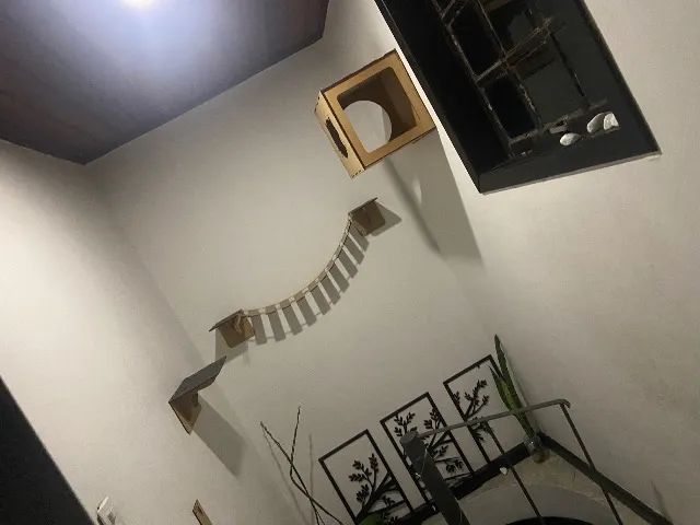 Foto - São Gonçalo - Sete Pontes