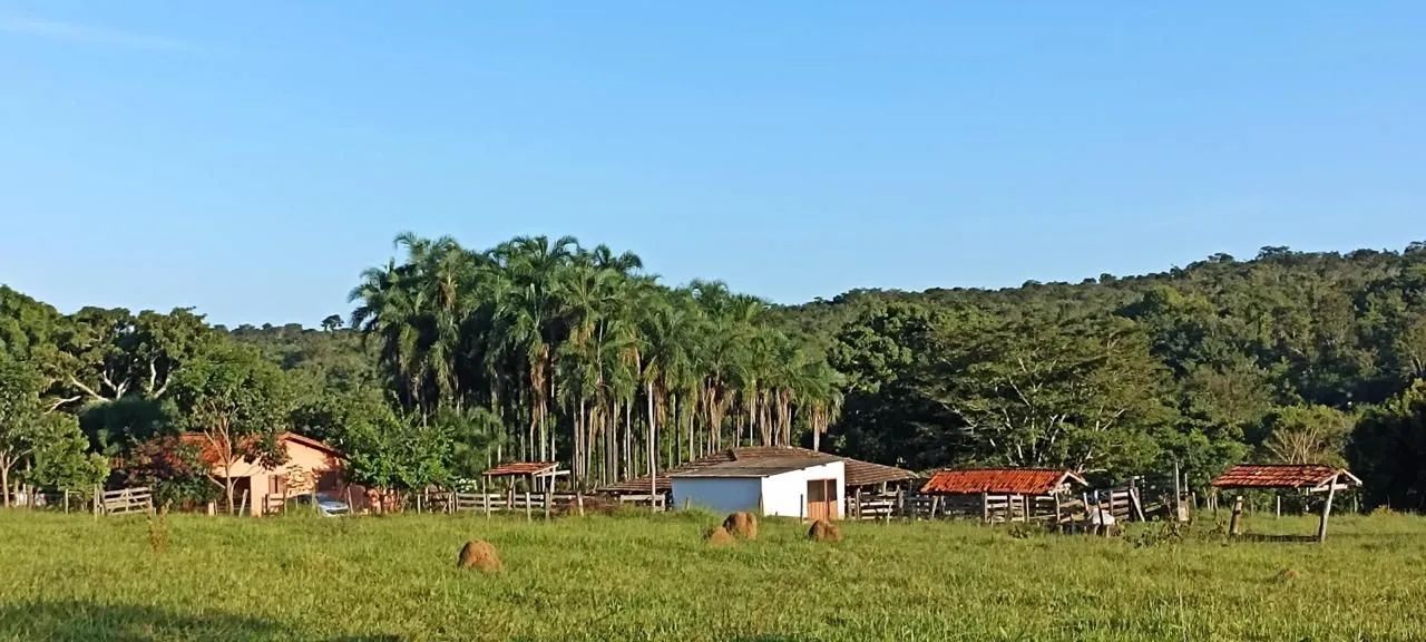 Fazenda de Crominia - Foto 4