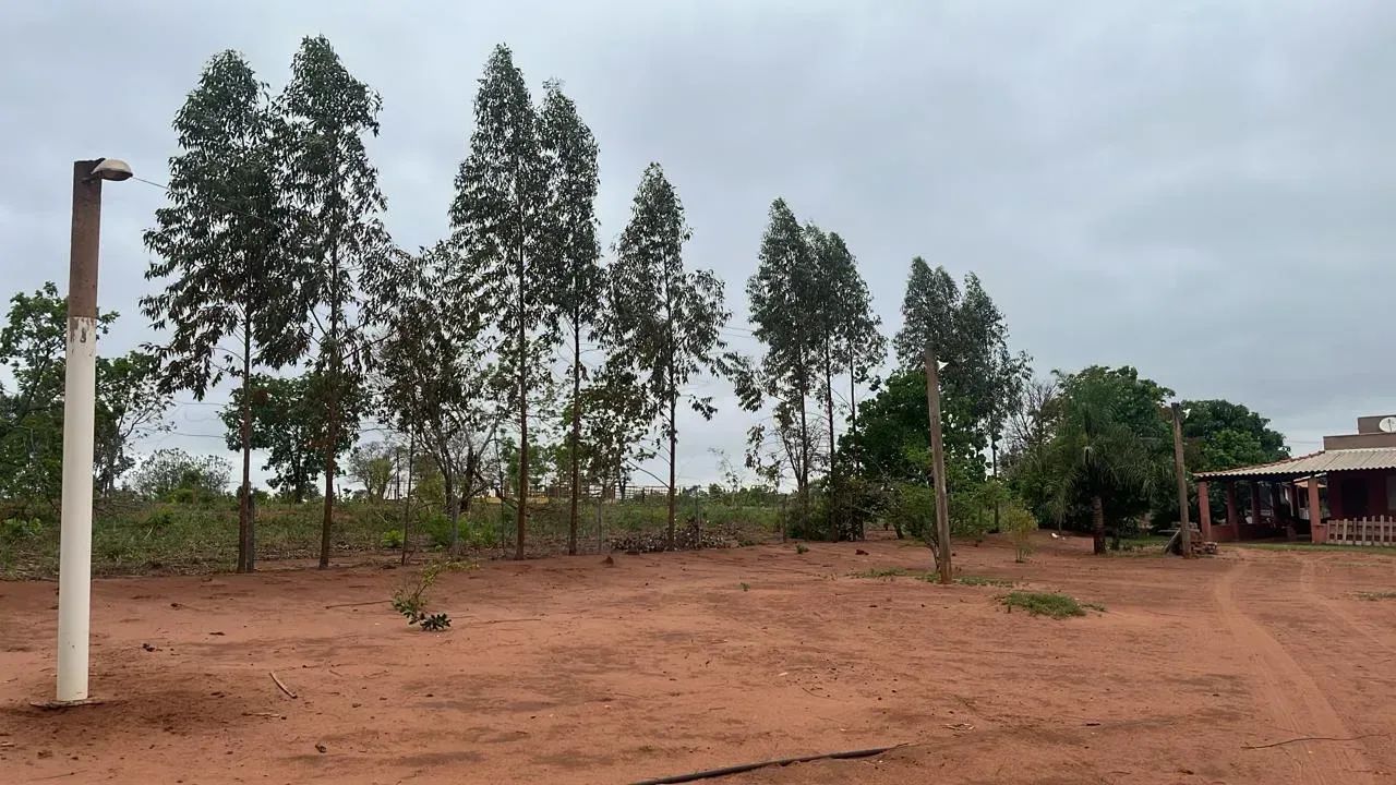 CÓD557  Chácara 7hectares  30 km de Campo Grande (MS-040) - Foto 4