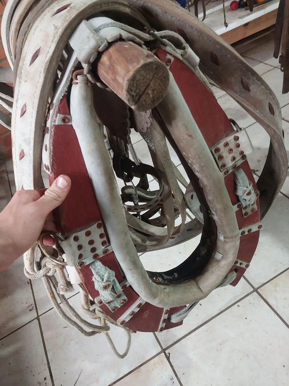Correama da fazenda  - Foto 5