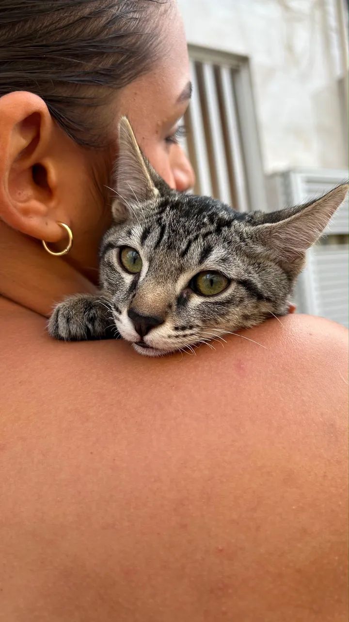 Adoção Responsável  - Foto 4