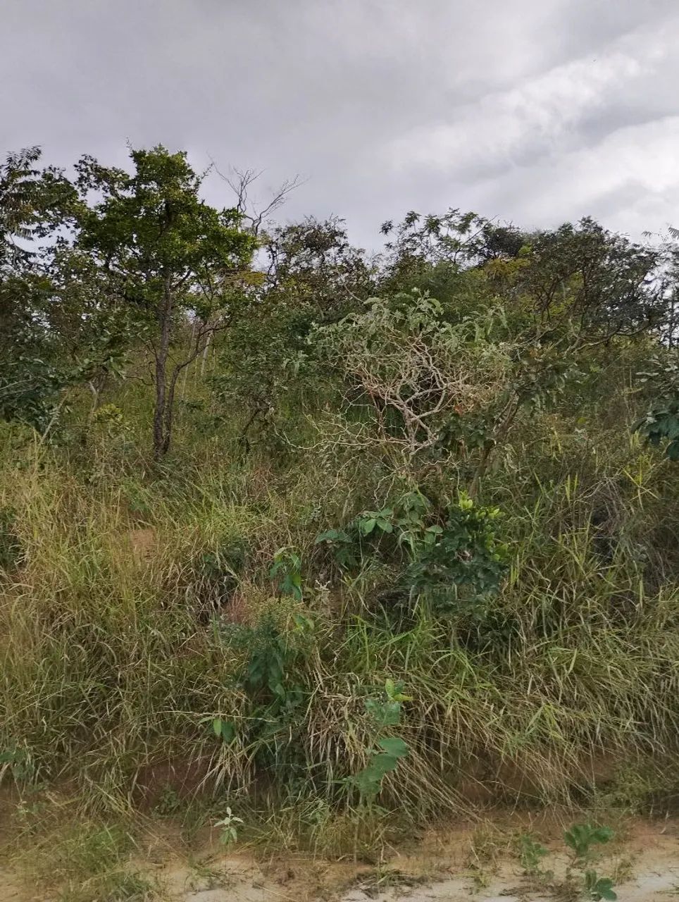 Terreno em Juatuba  - Foto 4
