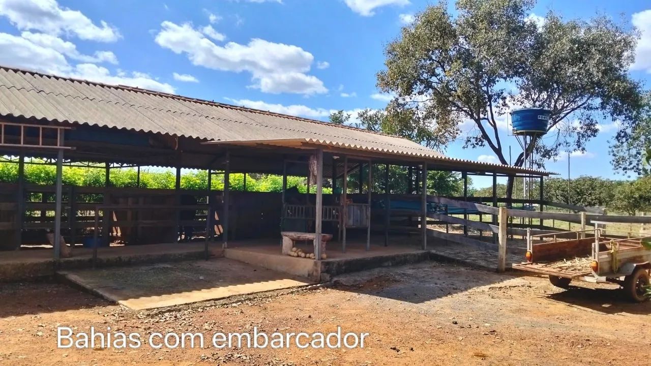 Chácara Bica DER Planaltina DF  - Foto 2