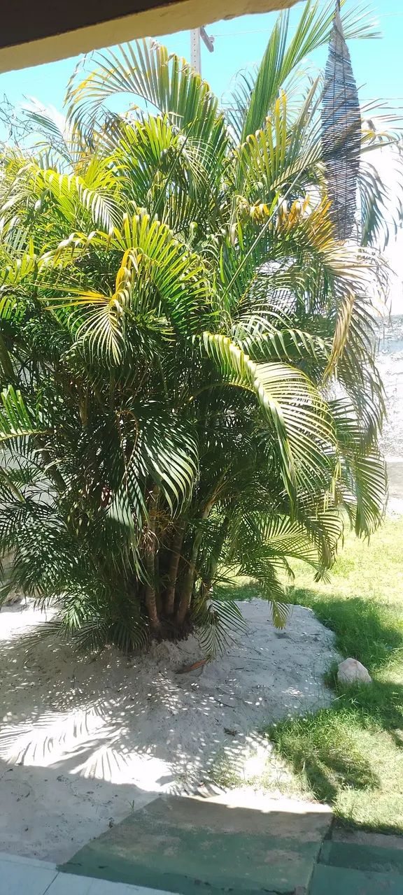 Vendo casa em.pirambu - Foto 5
