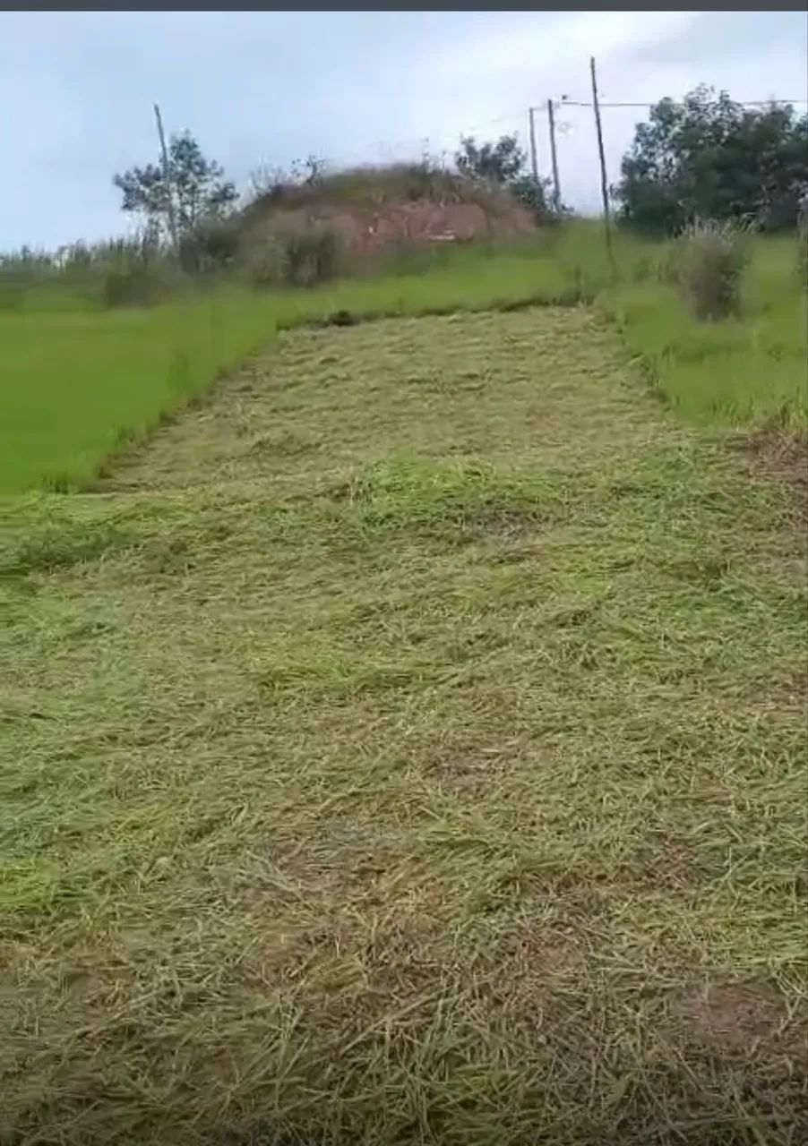 Terreno no Vivalegro  - Foto 2