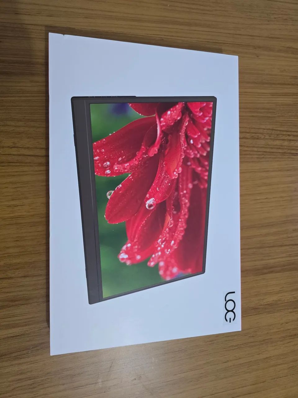 Monitor Portátil Novo