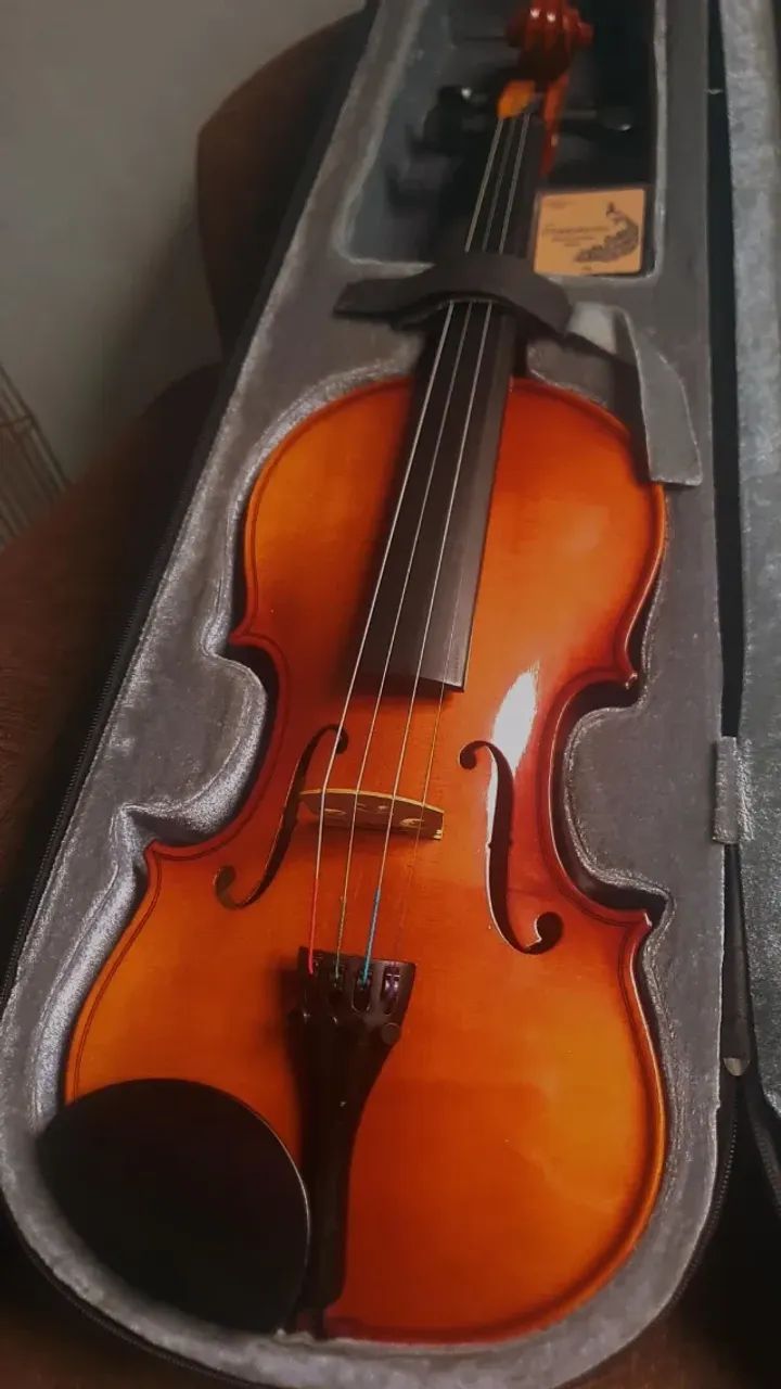 Violino - Foto 2