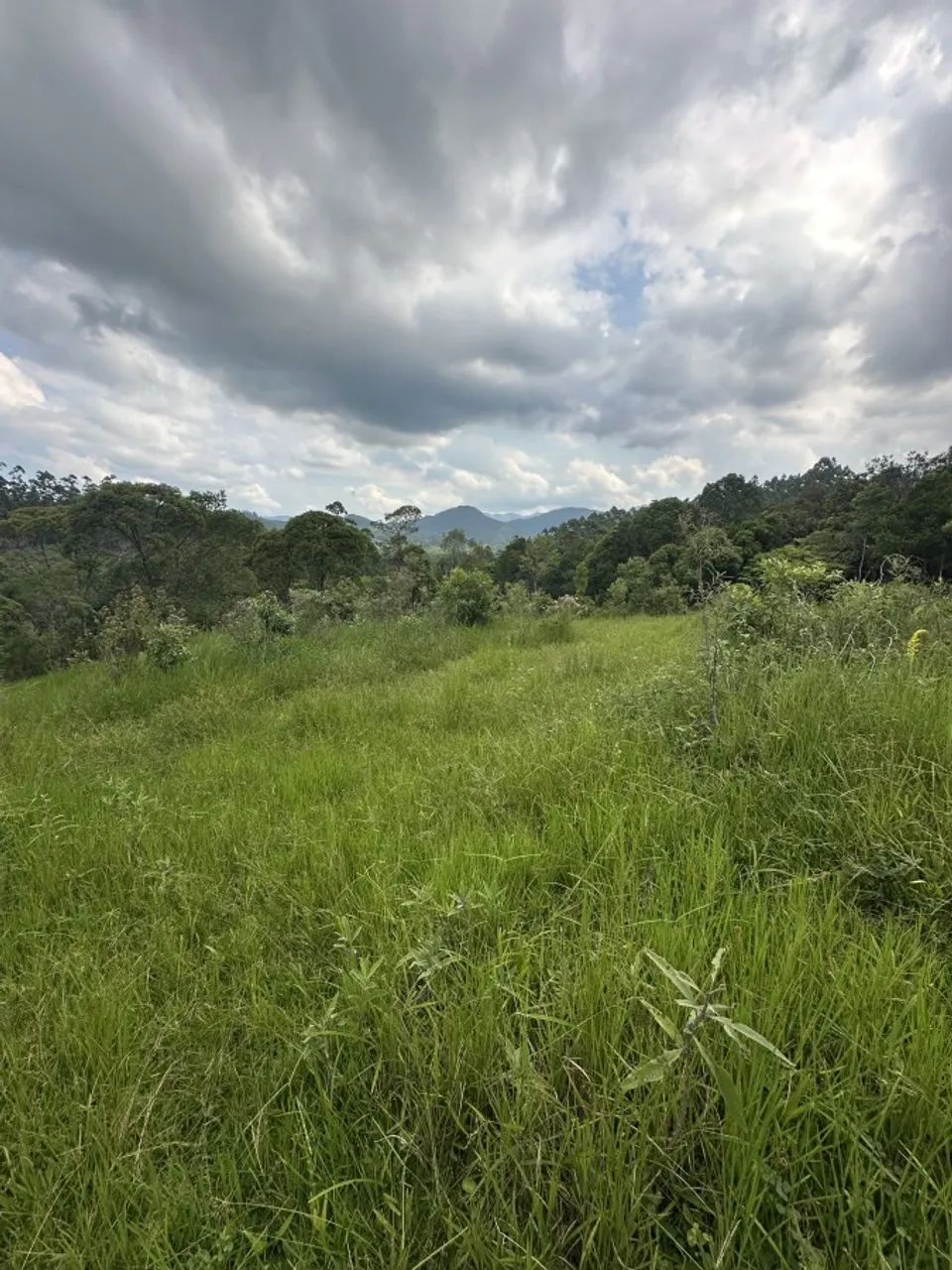 Sítio para Venda em Paulo Lopes, Penha - Foto 4