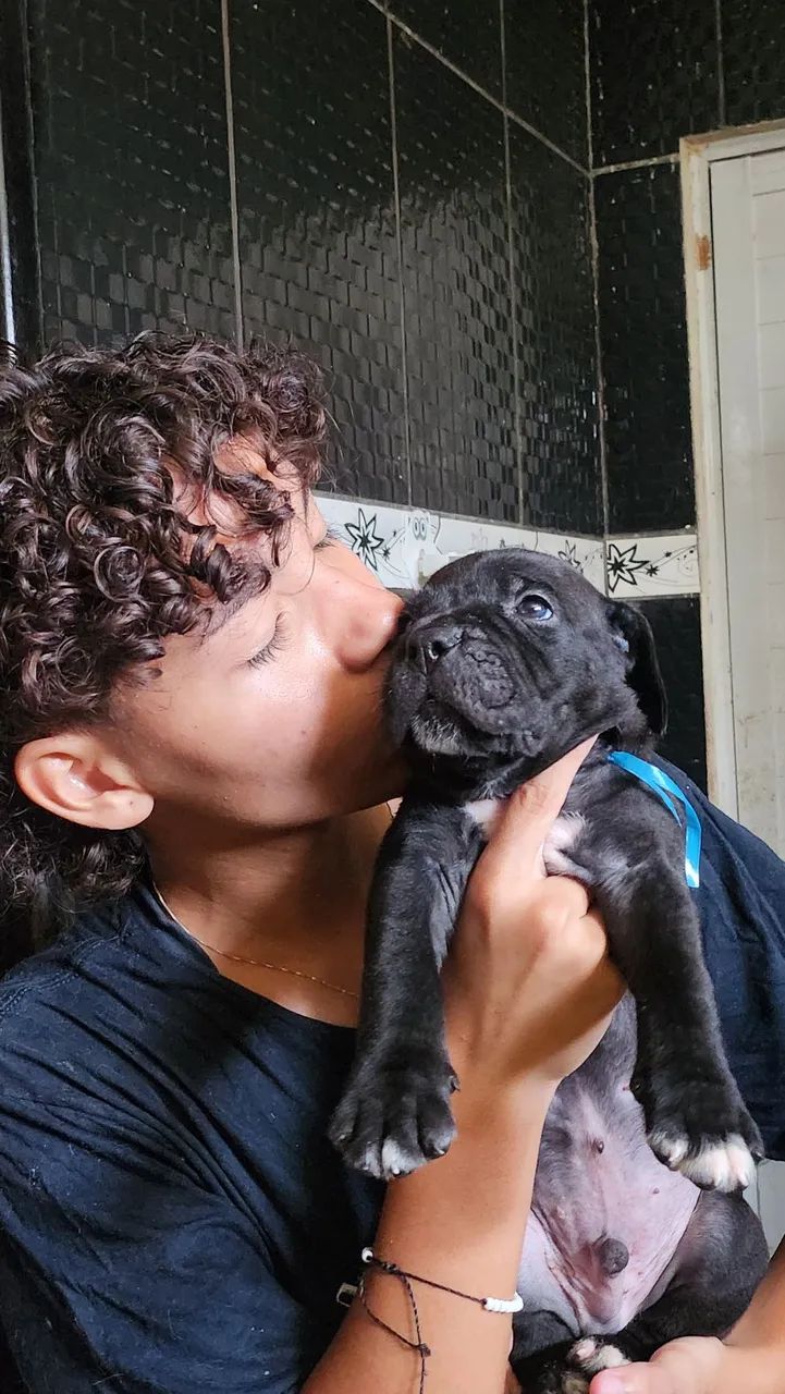 passeadora e adestradora de cães  - Foto 4