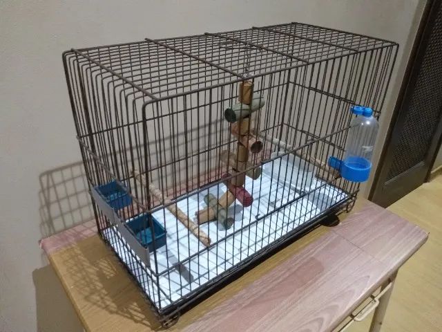 Completo gaiola de ferro - R$ 80 (Aceito PIX) - Foto 2