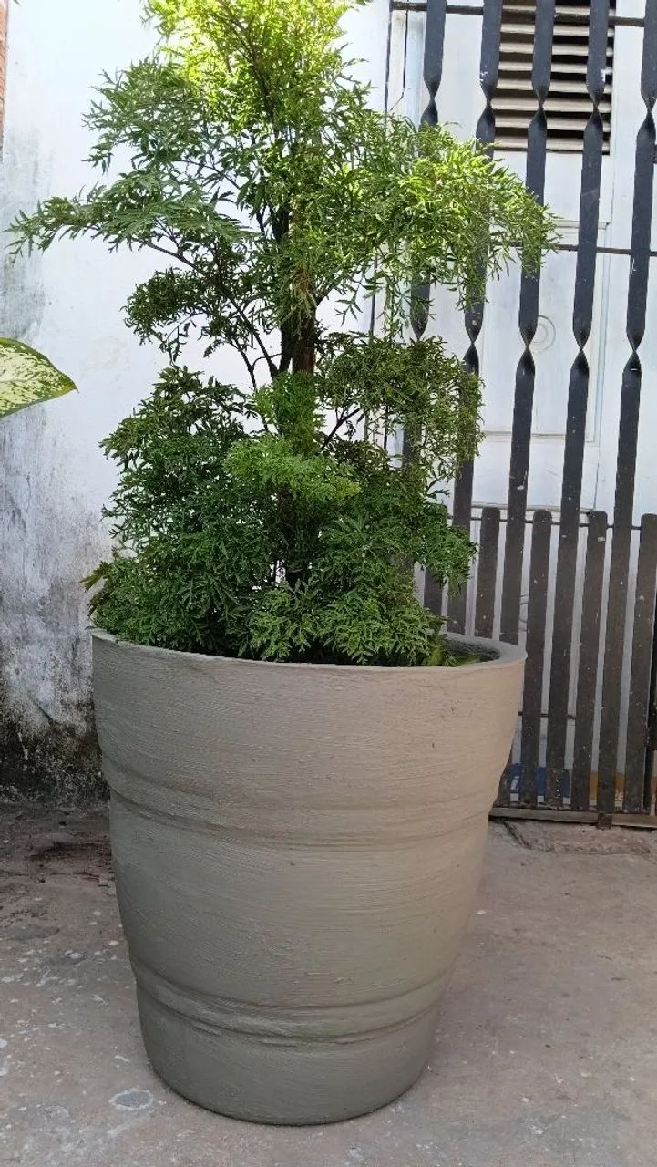 VASOS DE CIMENTO  - Foto 2