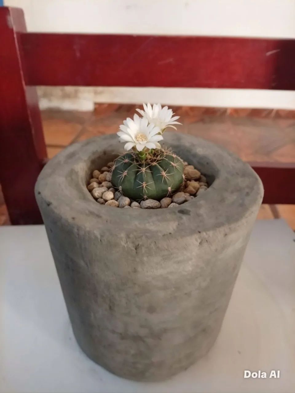 Vaso para plantas  - Foto 3