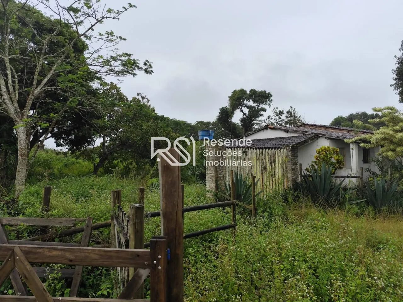 Sítio Para Vender no bairro em Boca Da Mata - Foto 2