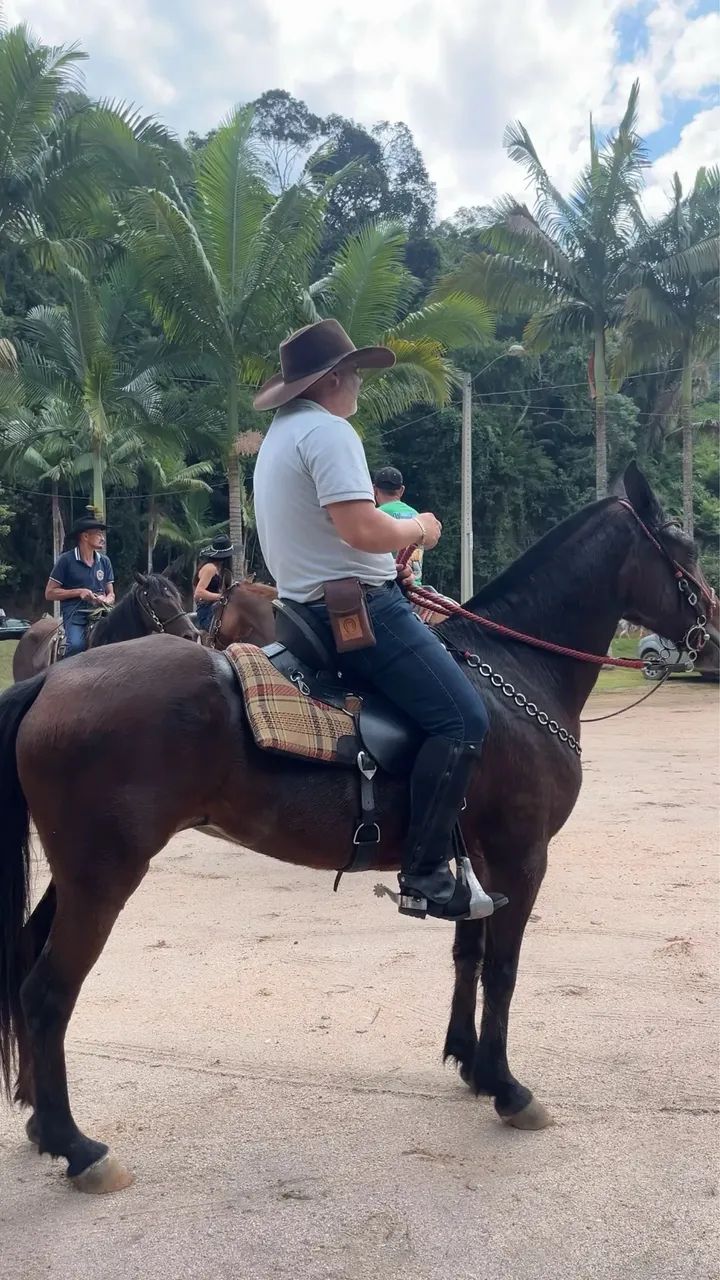 Vende se  - Foto 3