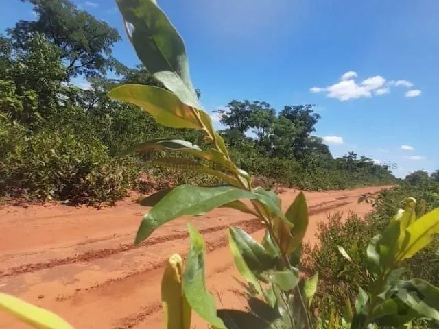 Vendo ou Troco Terreno - Foto 3