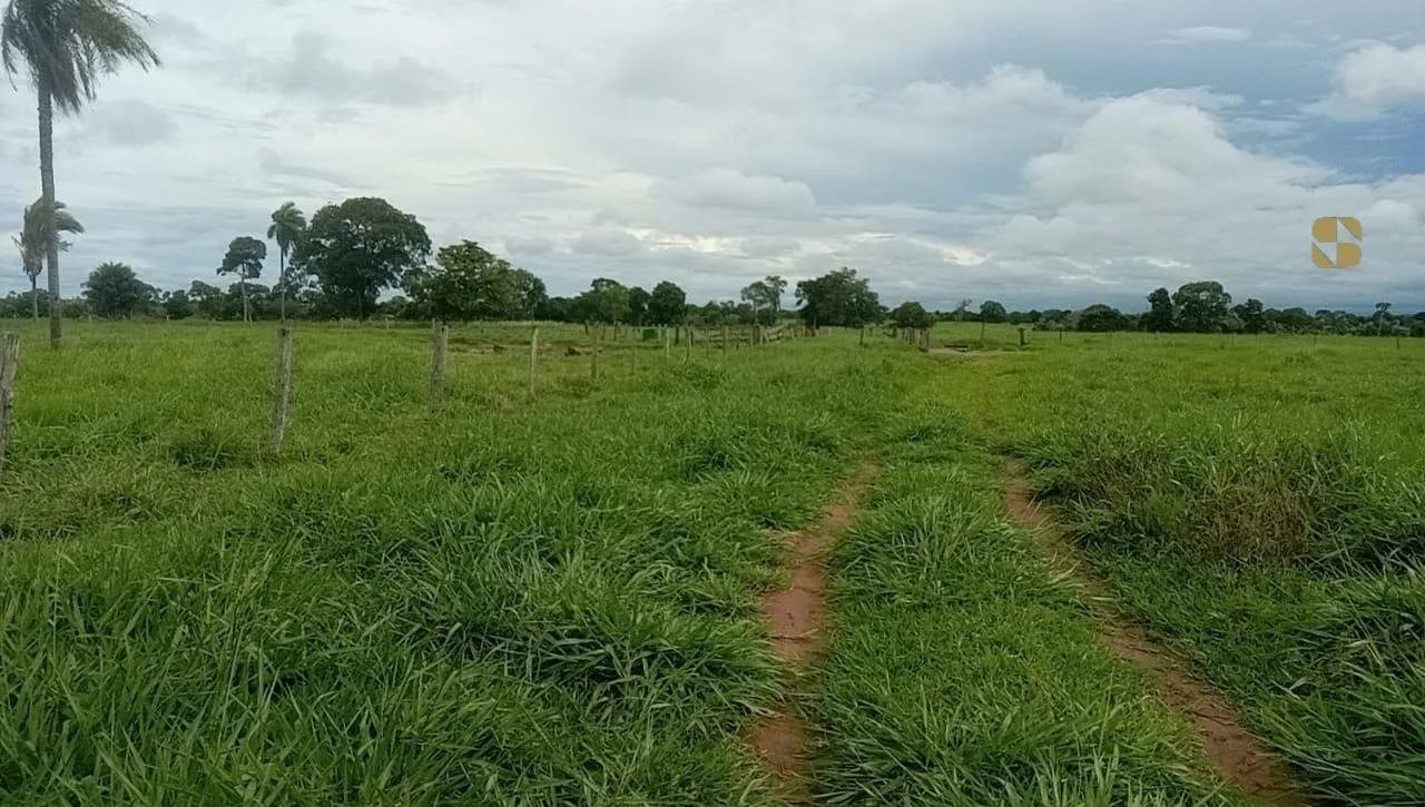Fazenda em Mirassol do Oeste com 218 hectares - Foto 5