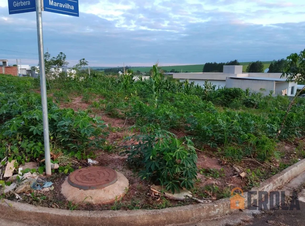 Terreno para Venda Araruna - Foto 3