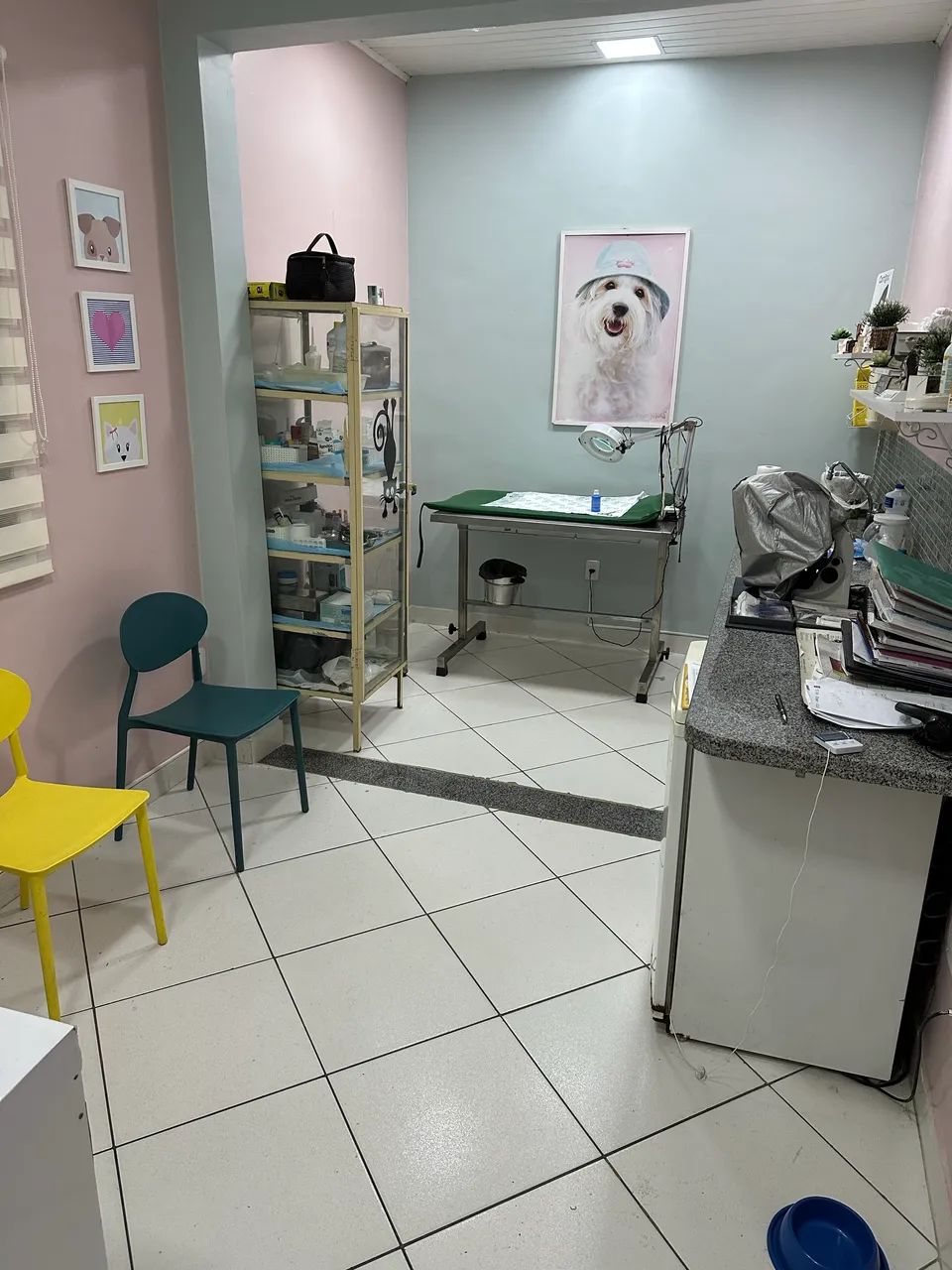 PASSO PETSHOP E CONSULTÓRIO VETERINÁRIO COMPLETO  - Foto 4