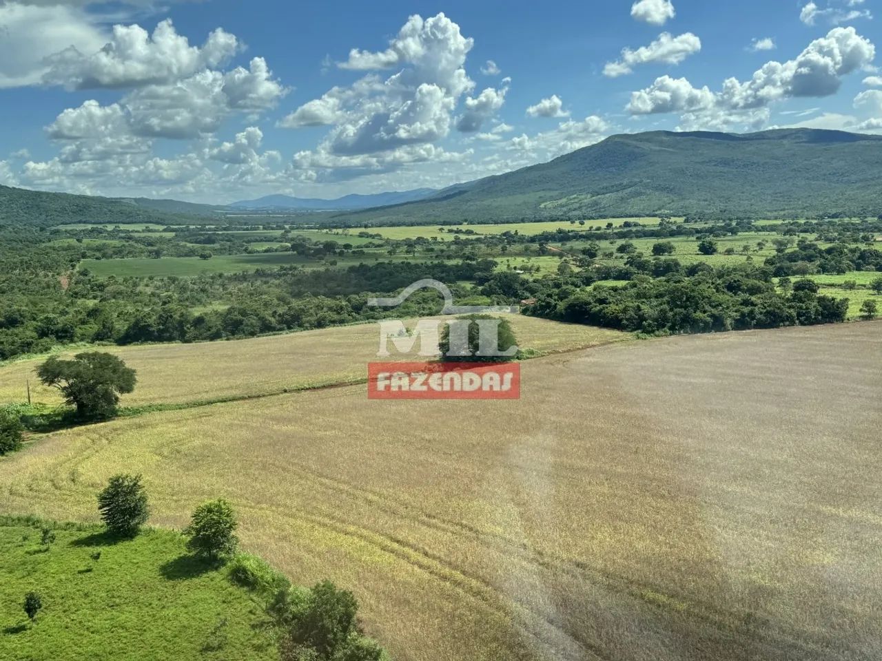 Fazenda em Barro Alto-GO. (350 Alqueires). Soja e Gado - Foto 5