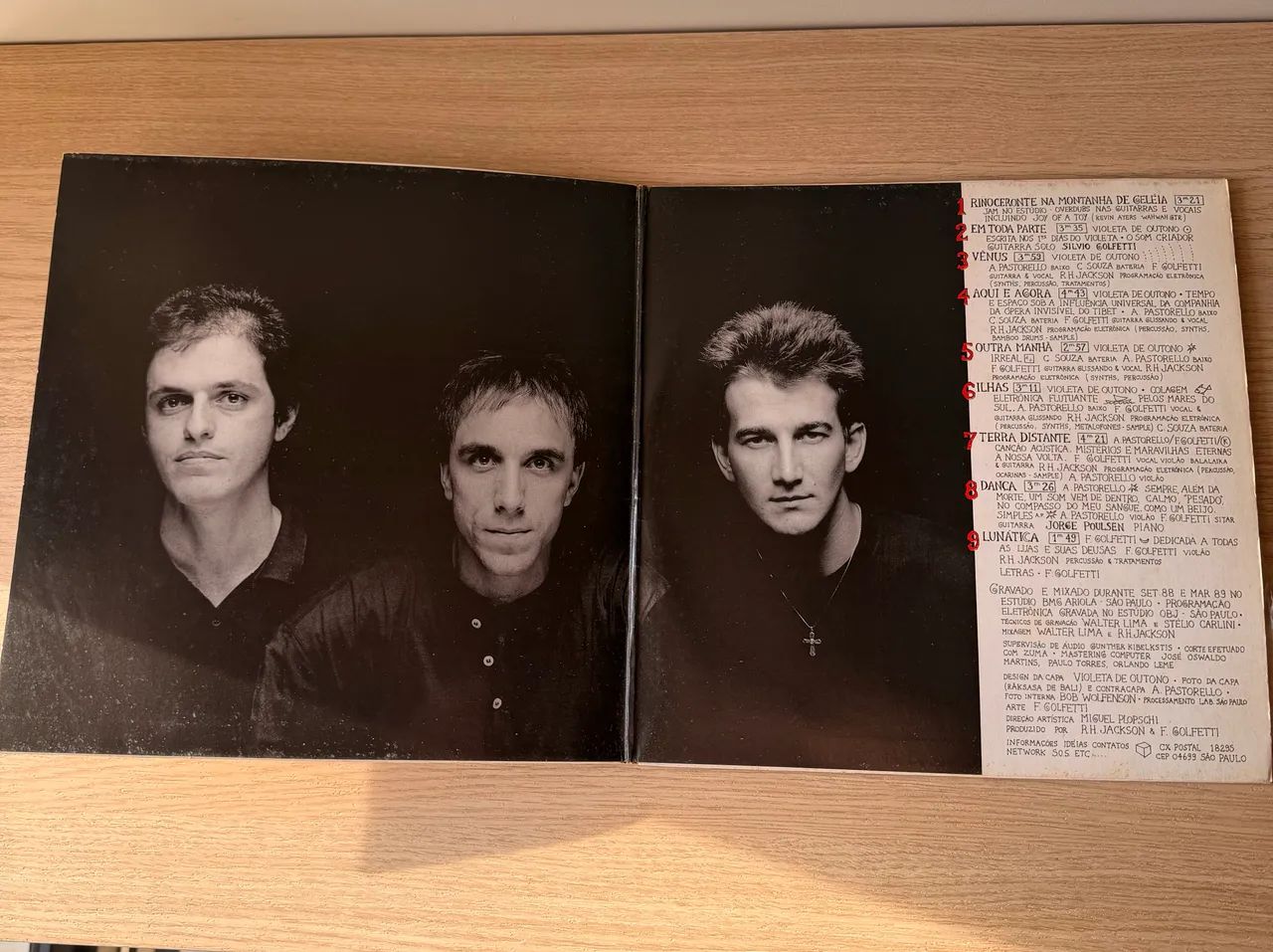 LP Violeta de Outono - Em toda parte  - Foto 3