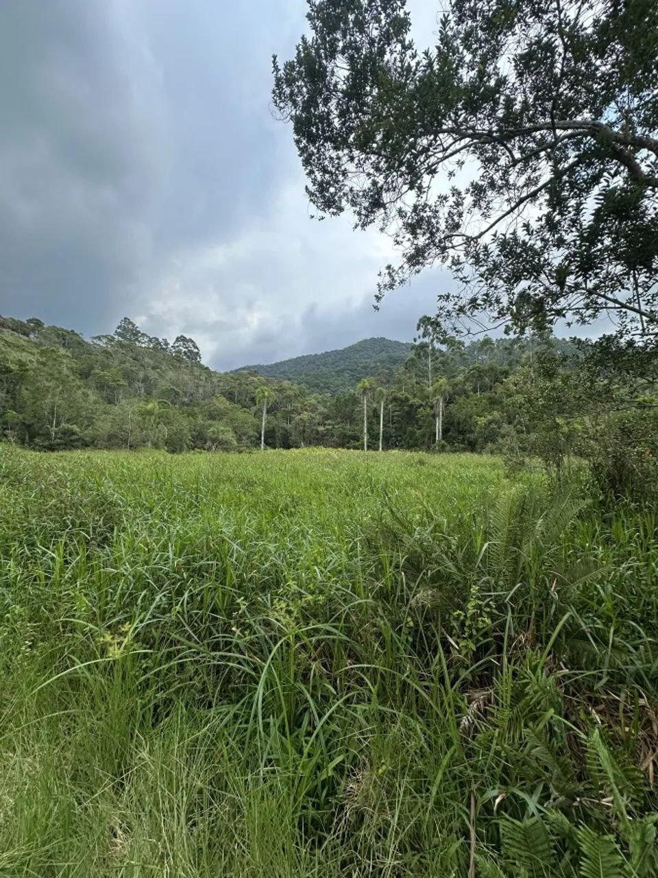Sítio para Venda em Paulo Lopes, Penha - Foto 2