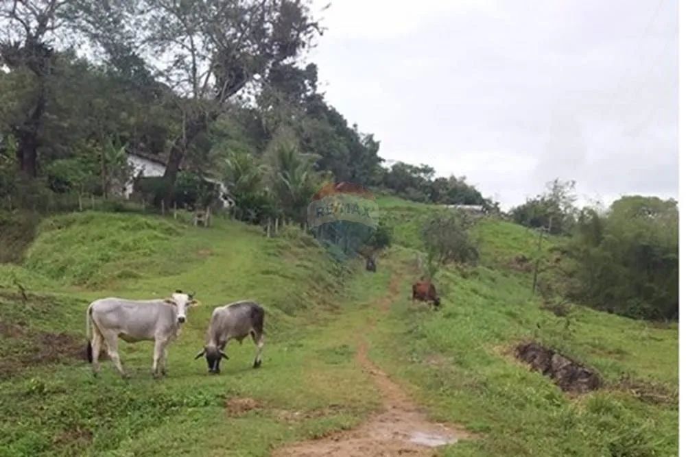 Fazenda Marimarta Ouro da Bahia! - Foto 2