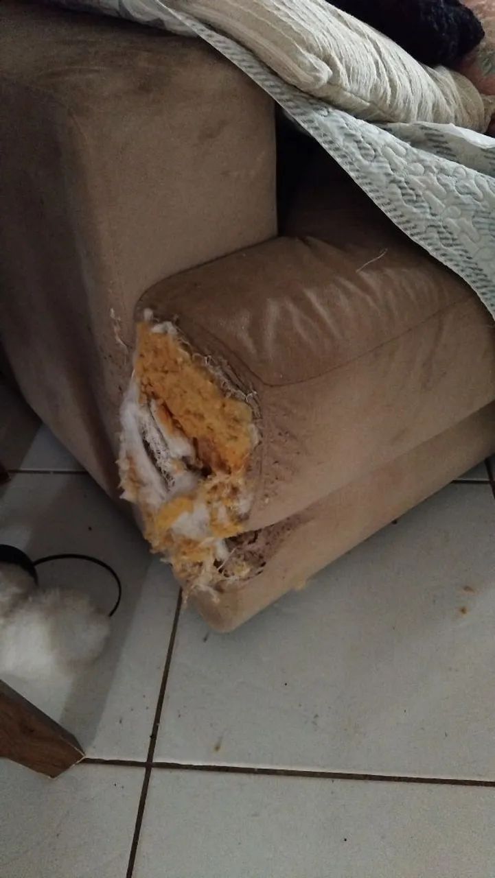 Sofá - Foto 4
