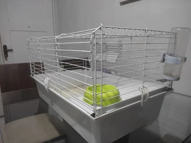 Gaiola Porquinho da Índia - Foto 2
