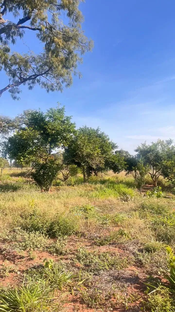 CÓD 560  Chácara à Venda | MS-040  Campo Grande/MS - Foto 4