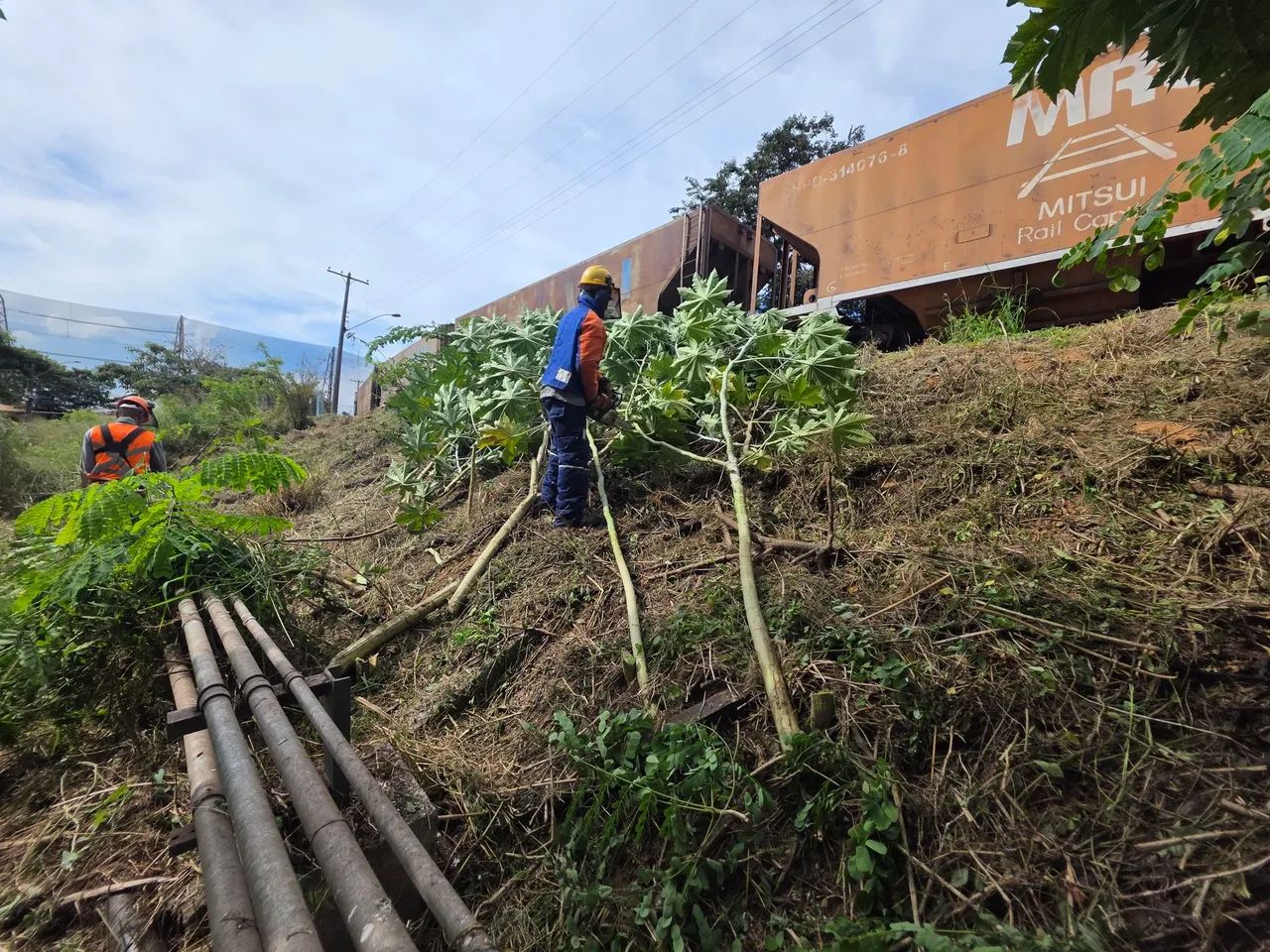 poda de árvores, limpeza de terreno, lote - Foto 4