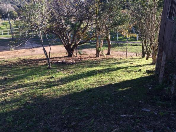 Chácara à venda em Cerne, Campina grande do sul cod:CH00004 - Foto 4