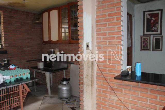 Casa à venda com 3 dormitórios em Serrano, Belo horizonte cod:742242 - Foto 12