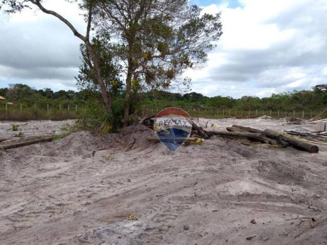 Terreno para alugar, 2.500 m² por R$ 20.000/ano Trancoso - Porto Seguro/BA - Foto 5