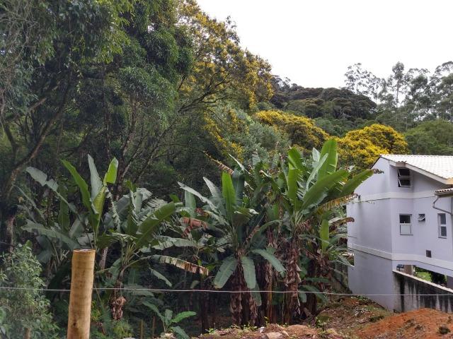 Lote 567m2 no Centro de Santa Isabel Domingos Martins - Foto 4
