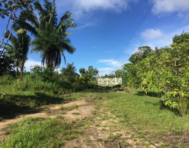 Vendo Sitio no Município de Santo Antonio do Tauá - Foto 15