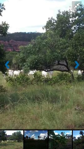 Fazenda bruta em Bom Jesus - PI - Foto 2