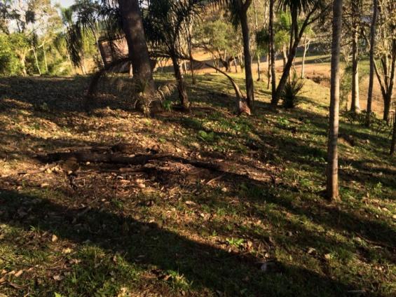 Chácara à venda em Cerne, Campina grande do sul cod:CH00004 - Foto 7