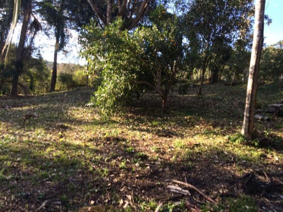 Chácara à venda em Cerne, Campina grande do sul cod:CH00004 - Foto 5