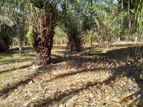 Chácara no rio coxipó com ótima estrutura - Foto 20