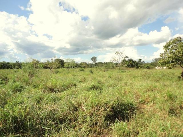Sitio a 20 km de Cuiabá - Foto 3