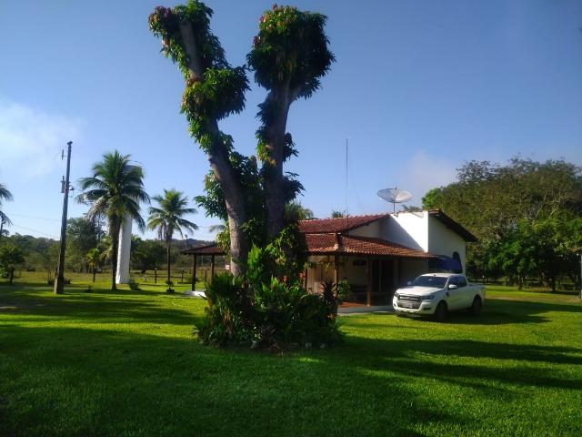 Chácara de Recreio e Pesqueiro Distr da Guia - Casa Sede e Casa de Caseiro - Foto 10