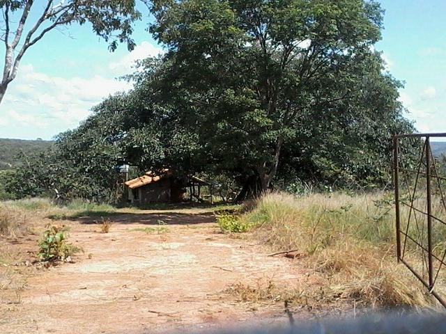 Pequeno sitio próximo de uruana de minas - Foto 3