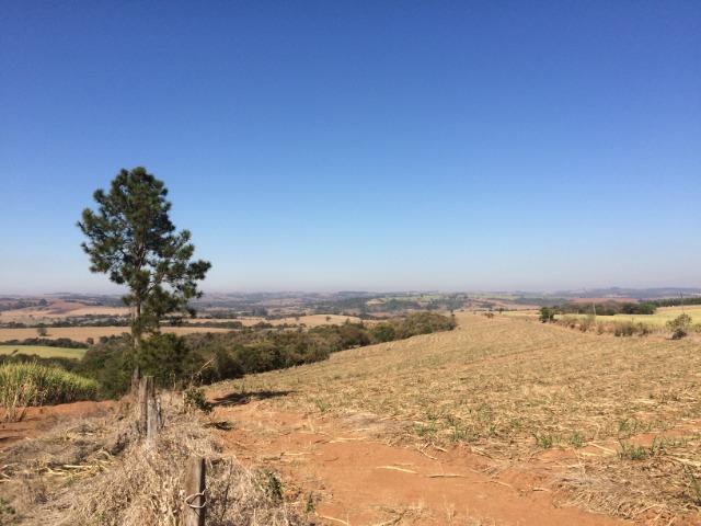 Tatuí-Sp, Fazenda 43 Alqueires