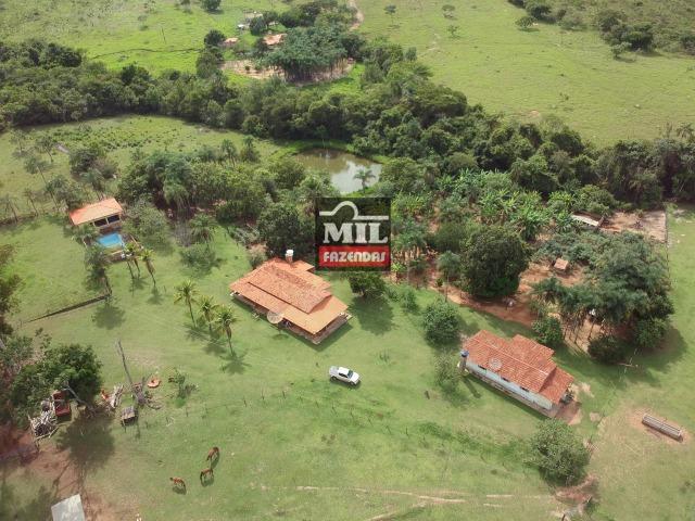 Vende ou troca por terra maior Chácara 5 Alqueires São Miguel do Passa Quatro-GO