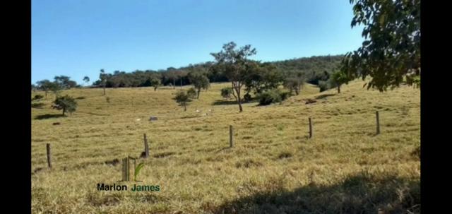 Fazenda em Morrinhos-Go - Foto 5