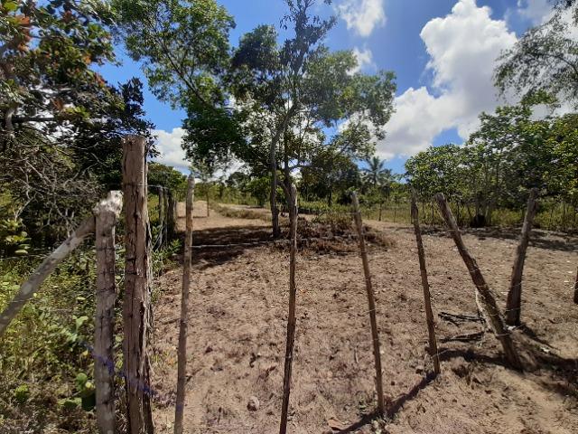 Terreno - Foto 2