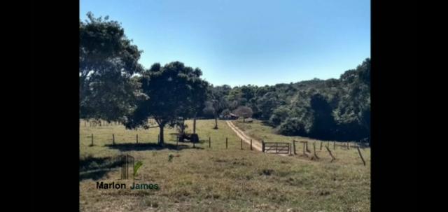 Fazenda em Morrinhos-Go - Foto 14